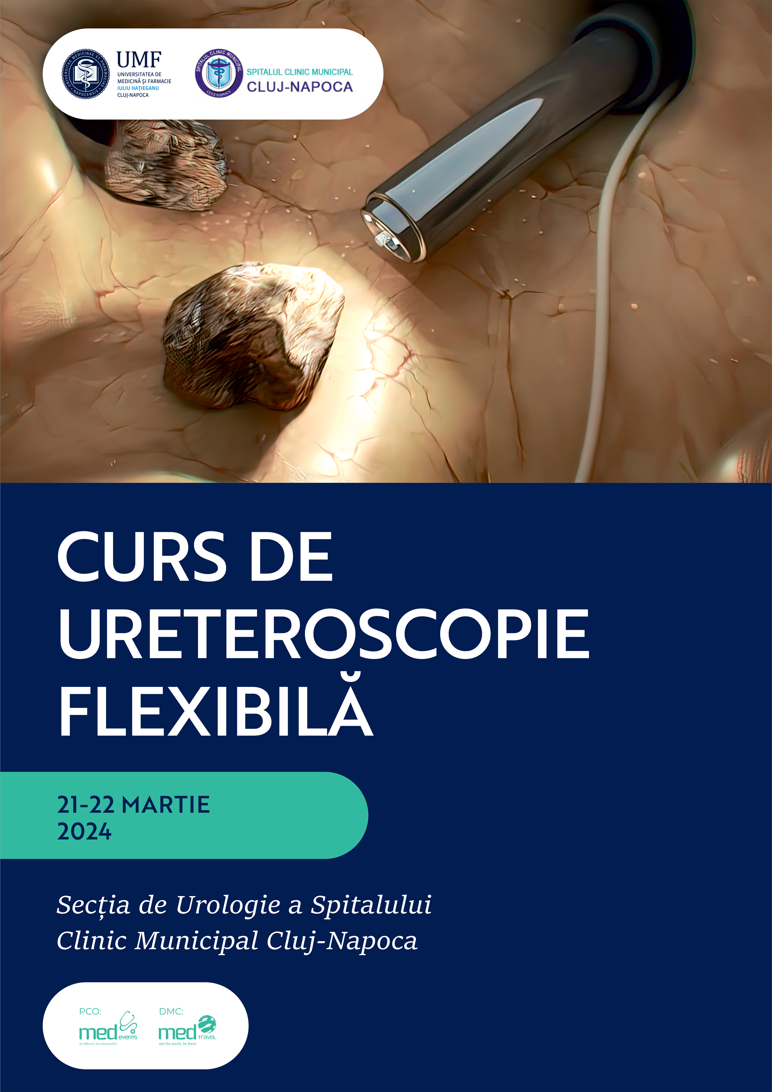 Curs de Ureteroscopie Flexibilă